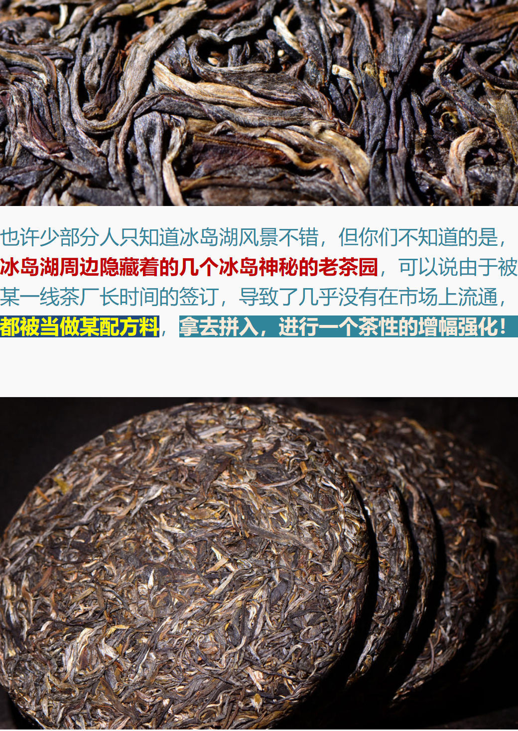 2019冰岛生茶核心产区冰岛湖古茶园130-720年大古树普洱茶七子饼