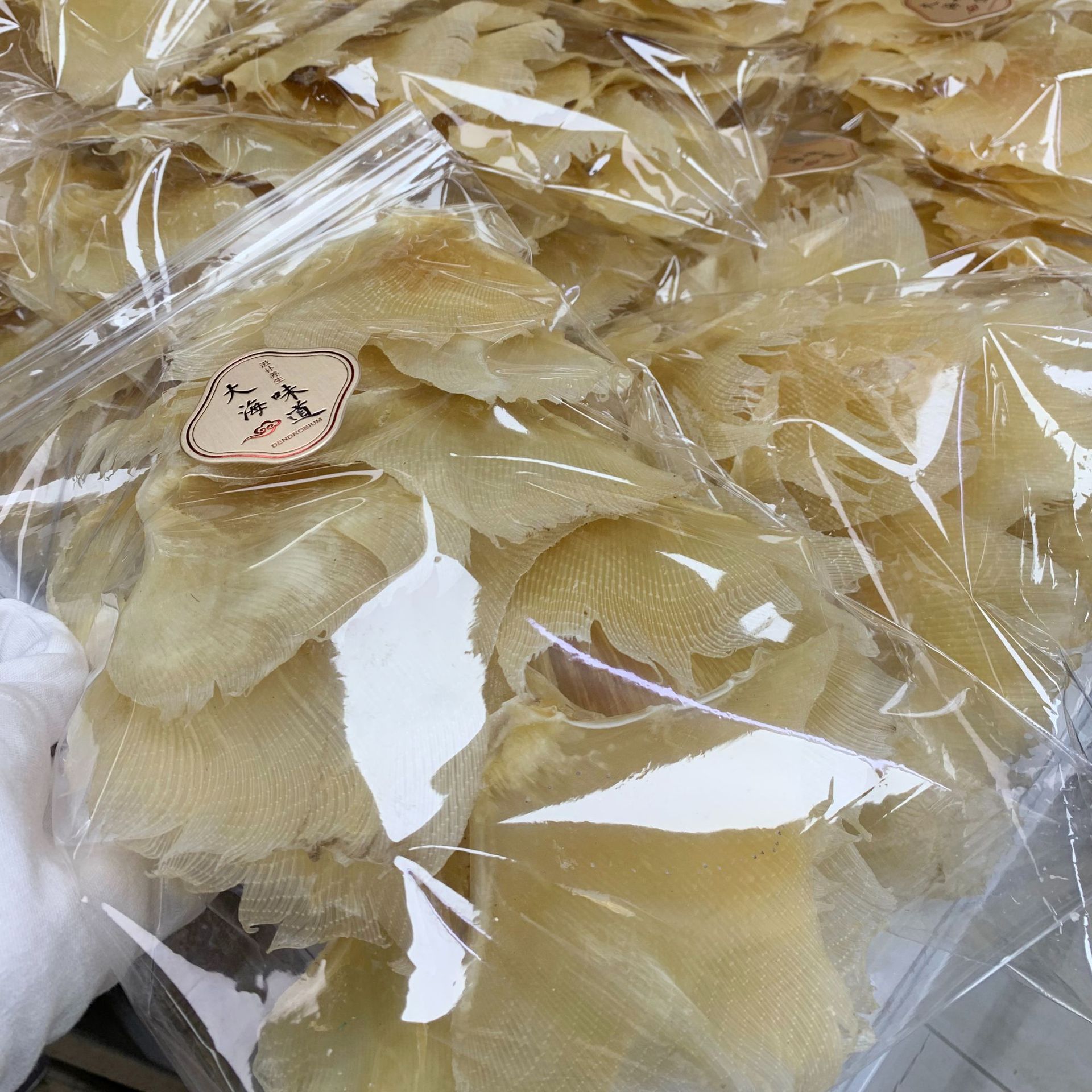 产地批发 北海鱼赤 海狗翅浦鱼翅片 佛跳墙酒店餐饮食材海味干货