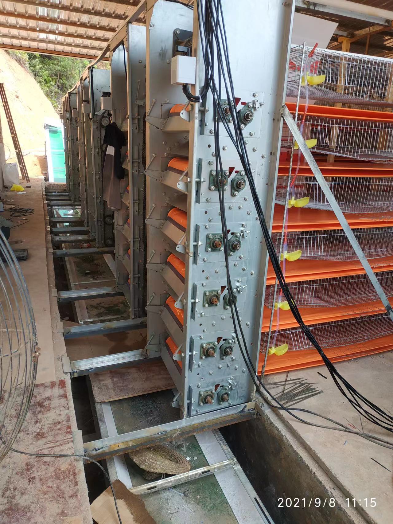 自动化鹌鹑笼,每层可接粪自动加料系统轻松养鹌鹑解放你的双手