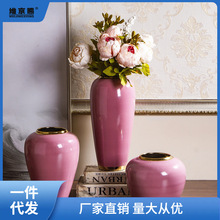 粉色花瓶摆件欧式客厅插花干花花器家居小清新创意餐桌装饰摆轩安
