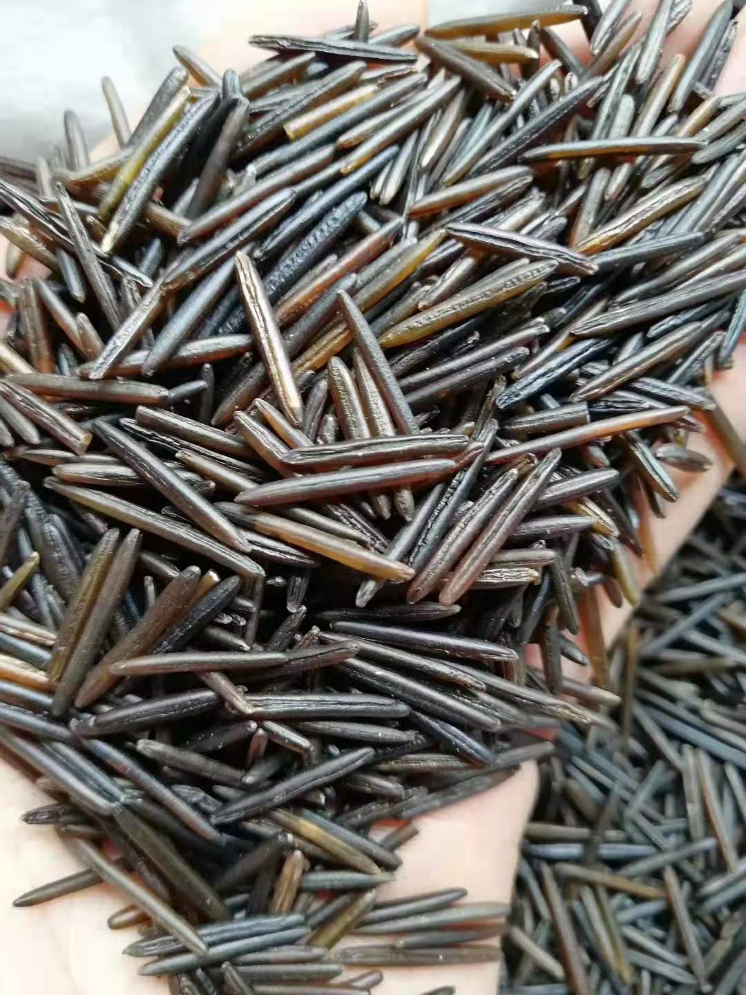 3号野米2号野米长粒黑米松针米苏比利尔冰湖菰米现货零售批发