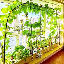 无土栽培黄瓜水培蔬菜家庭室内阳台种菜智能箱自动管道式设备