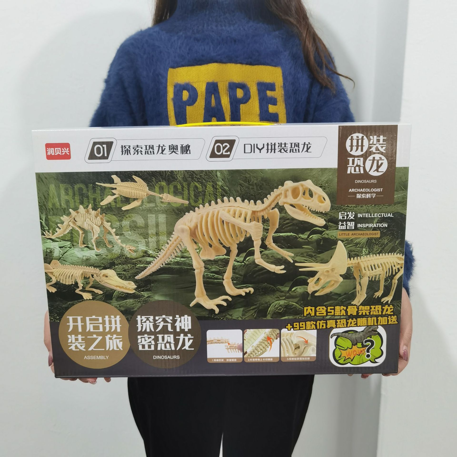 考古恐龙骨架考古化石模型玩具创意diy手工盲盒套装批发礼盒玩具