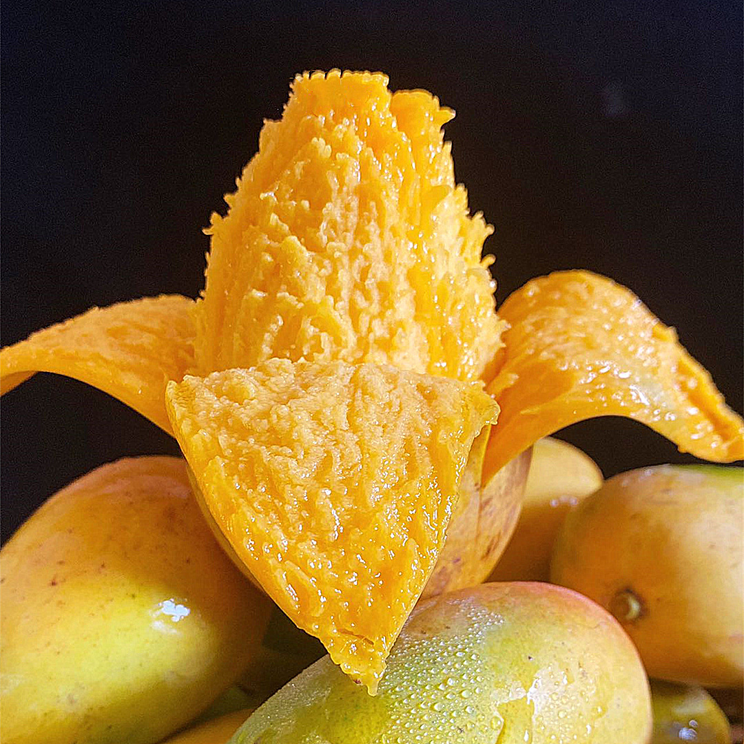 【成都芒果】-成都芒果厂家,品牌,图片,热帖-阿里巴巴