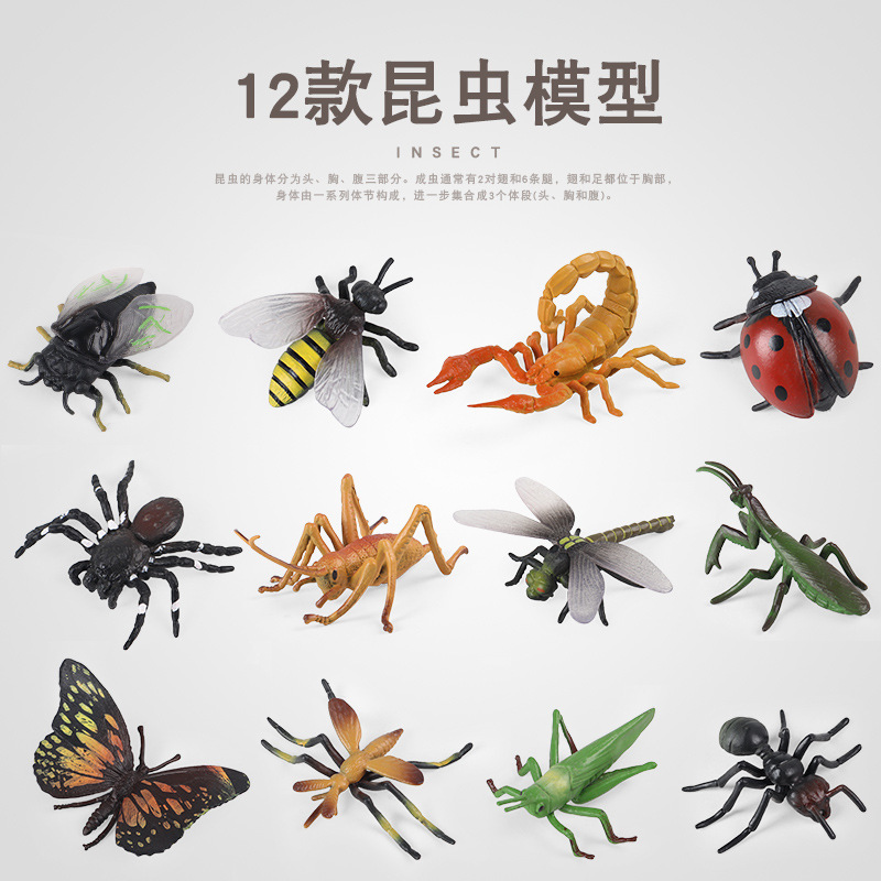 跨境科教仿真实心昆虫动物模型蜜蜂蜘蛛蝴蝶七星瓢虫儿童玩具套装