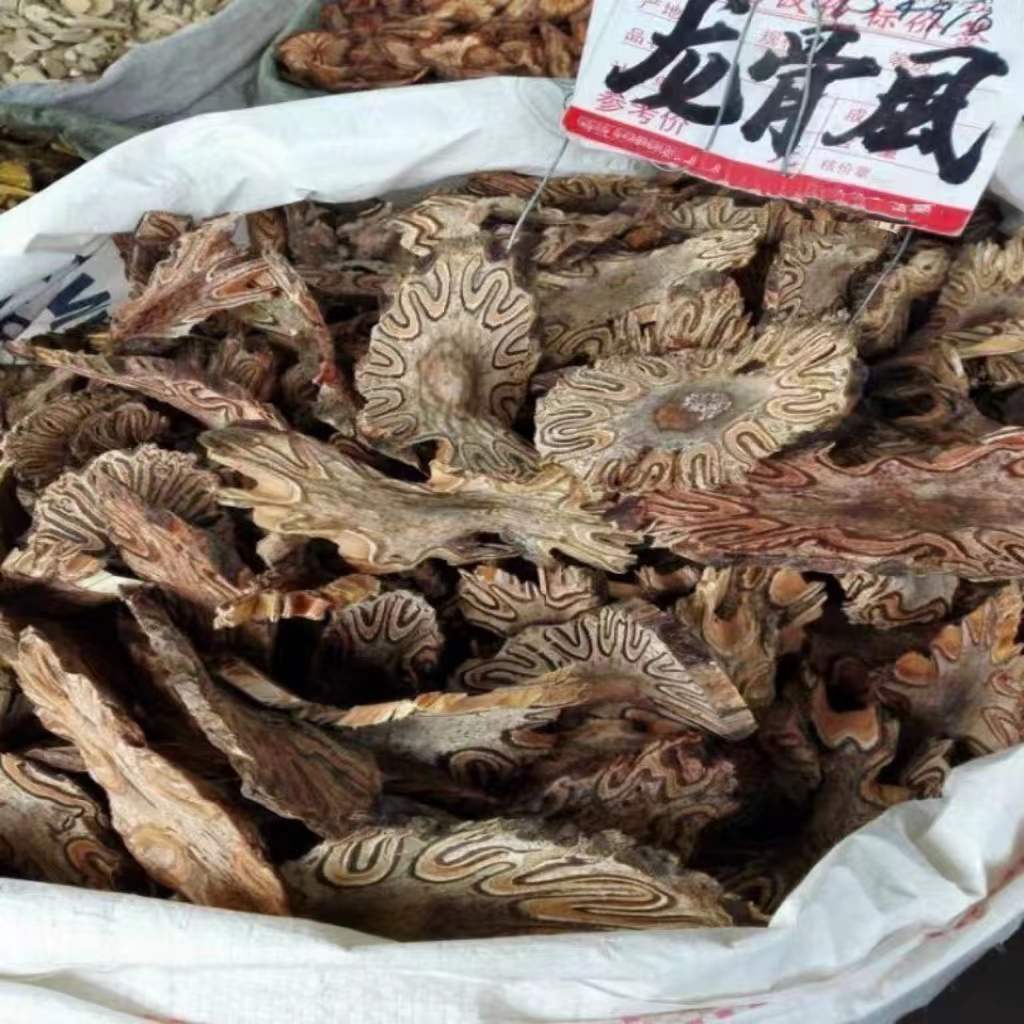 龙骨风 飞天擒罗 大贯众 山卡唠 冷背奇大全 量大从优 代客磨粉