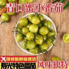 【今日优选】青口蜜小番茄绿色千禧圣女果现摘即食水果青甜小柿子