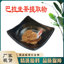 巴拉圭茶提取物10:1 30:1 50:1马黛茶提取原料茶粉 水溶性 茶多酚