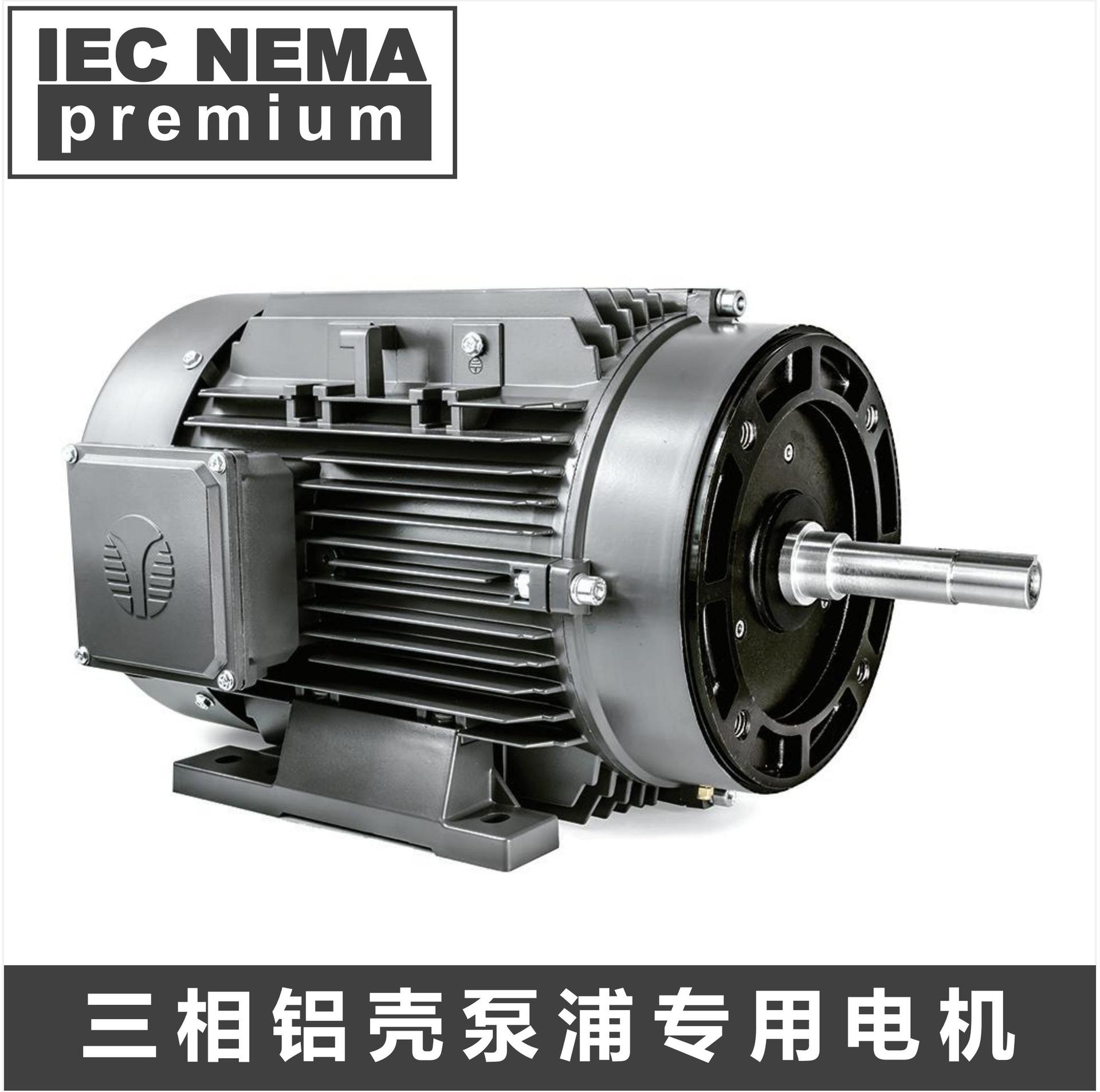 techtop特波 美国nema三相铝壳泵浦电机 高能效标准 水泵/化工泵