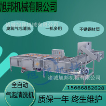 生姜小黄姜清洗设备 鲜姜去泥气泡清洗机	黄瓜酱腌菜脱盐清洗设备