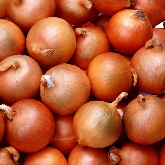 长期供应黄紫洋葱 欢迎大量选购 价格优惠