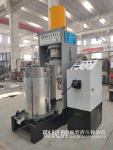 福建油茶果深山野生油茶籽果 老品种小粒珍珠山茶油籽果实茶籽仁