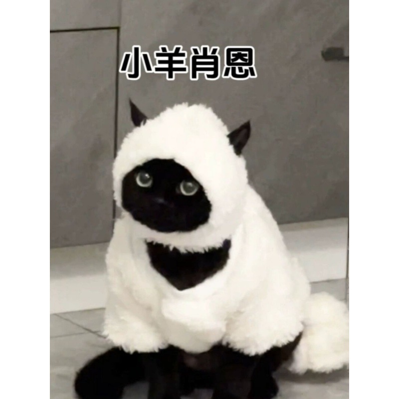 猫咪衣服春秋款小羊肖恩德文猫衣服搞怪羊羔绒衣创意斯芬克斯棉衣