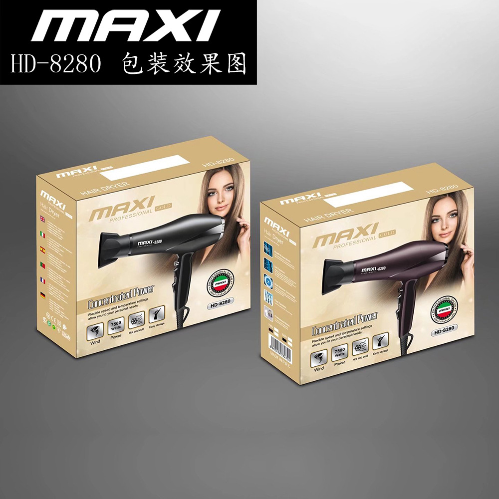 cross-border household hair dryer high-power hair salon dedicated constant temperature anion hair care electric hair dryer dormitory wholesale