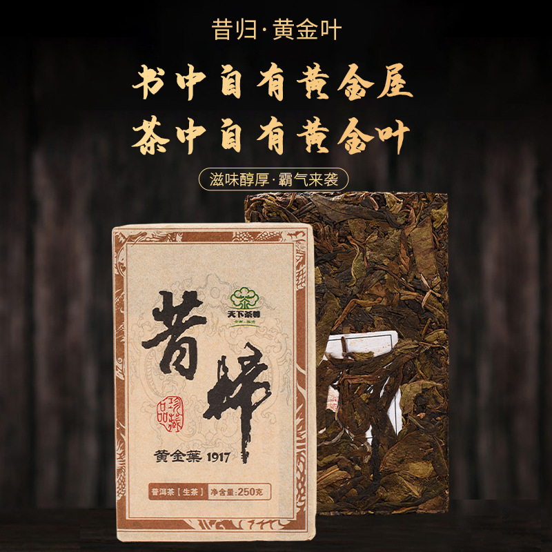 临沧普洱茶生茶昔归黄金叶茶砖250g一块云南厂家现货批发量大价优
