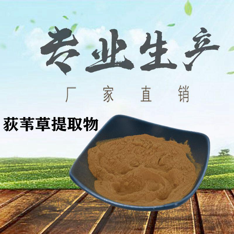 荻苇草提取物  植物萃取荻苇草粉  10:1等 提取物粉 荻苇草提取物