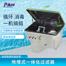 游泳池过滤设备无机房砂缸水泵一体机 水处理循环地埋机过滤器