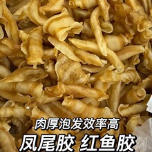 鱼胶75头凤尾胶 500g250g花胶煲汤奶冻炖奶 0 腥味滋补品海产干货