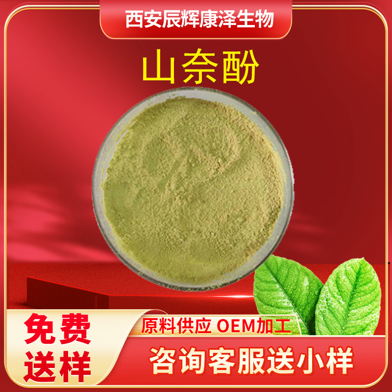 山奈酚98% 现货槐角提取物山奈根茎提取 多规格山柰酚山柰黄酮醇