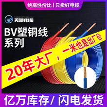 pvc铜芯导线 BV线铜芯家装工程阻燃电线 聚氯乙烯单股塑铜芯电线