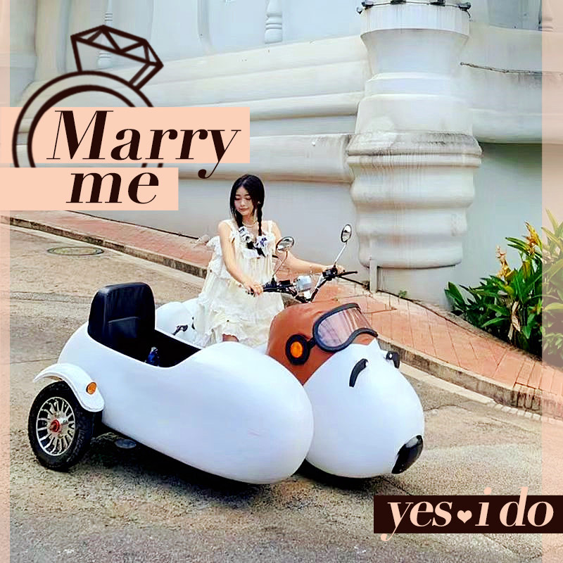 史努比边三轮侉子电动车网红景区狗狗车观光车代步车可爱带娃