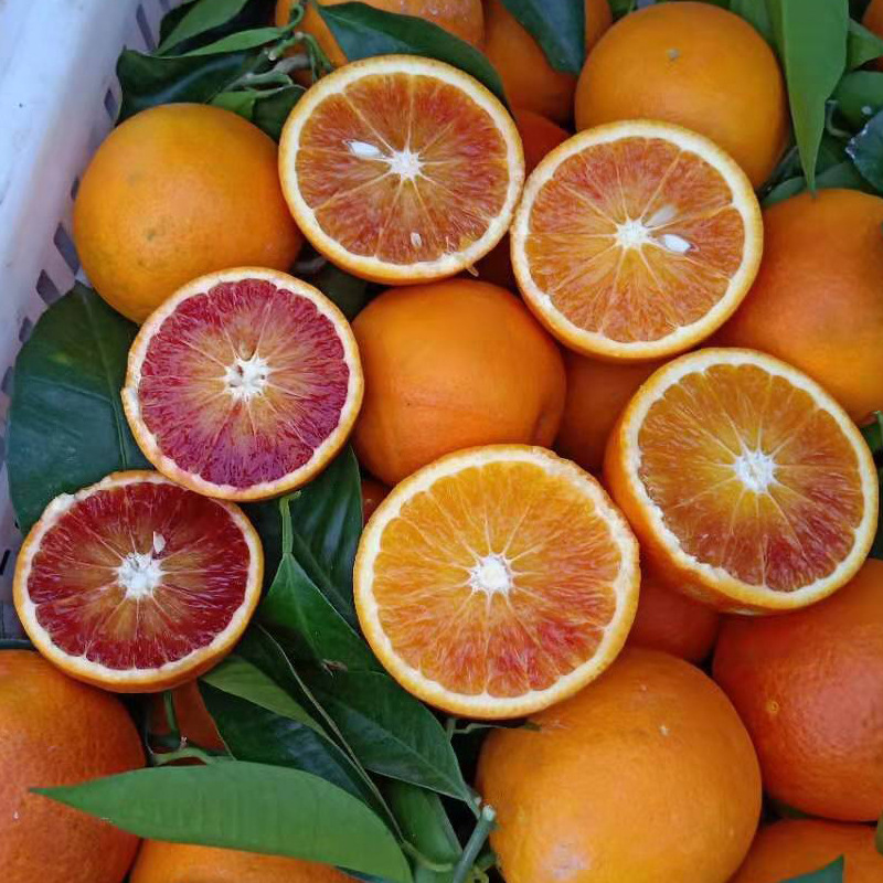 重庆血橙万州玫瑰香橙子长寿湖塔罗科红心资中雪当季新鲜水果10斤