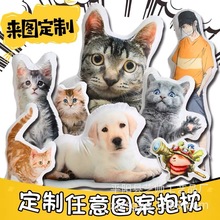 异形diy抱枕定制人形来图可印定做猫咪宠物动物枕头照片创意订制