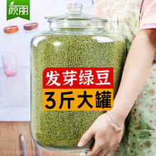 【手提罐装】发芽绿豆3斤发豆芽的绿豆 发豆芽菜豆子芽豆