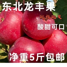 【秒杀价】东北龙丰果大秋果龙丰果小苹果孕妇水果非海棠果酸甜脆