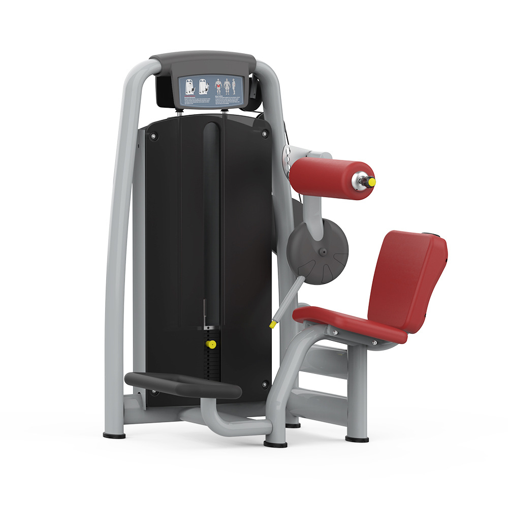 后背伸展训练器 背肌后压训练器 商用健身房背肌训练器厂家批发