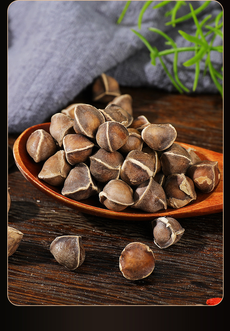 辣木籽批发 产地直供云南大粒辣木籽食用农产品厂家散装一件代发