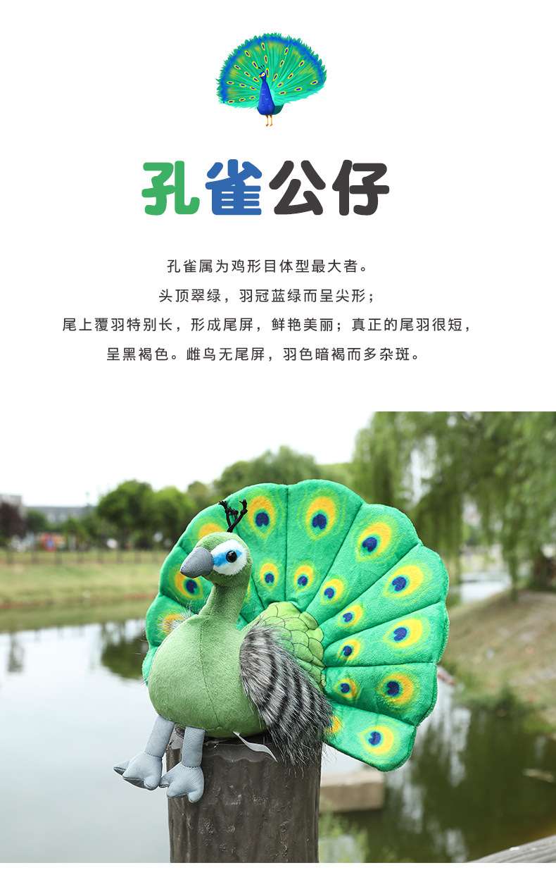 动物园纪念品仿真孔雀玩偶公仔毛绒小鸟玩具儿童布娃娃活动礼品物