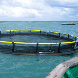 鱼世界深海抗风浪网箱圆形方形养鱼深海水产养殖箱方形养殖网箱