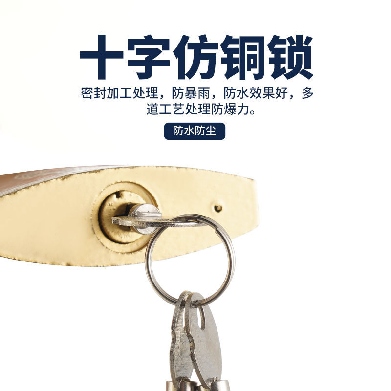 Padlock Wholesale Yuandai Brand Imitation Copper Padlock Factory Direct Supply Antique Lock Head Anti-Theft Lock Longevity Safe Lock Iron Padlock