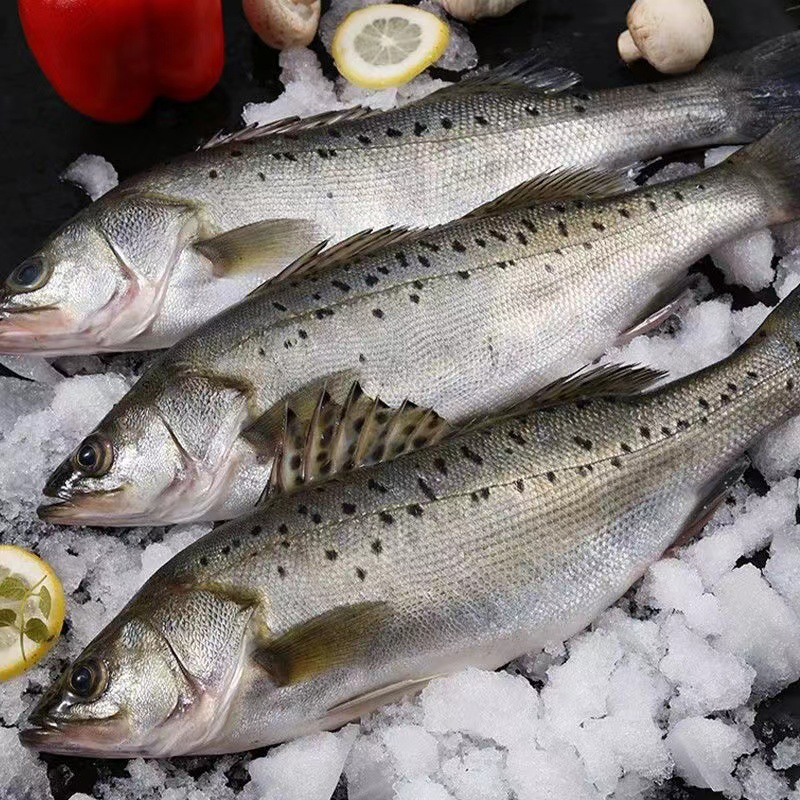 海鲈鱼开背新鲜活冷冻深海鱼清蒸去内脏纸包鱼烤鱼半