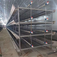 厂家定制 养殖铁笼  立式肉鸡笼 鸽子笼 方格铁笼定制