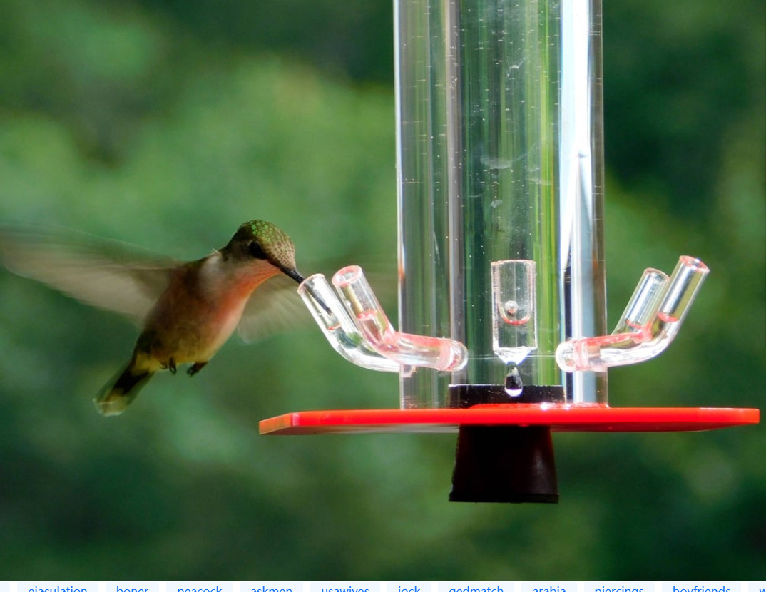 hummingbird feeder 悬挂式圆柱鸟类喂食器 蜂鸟喂鸟器
