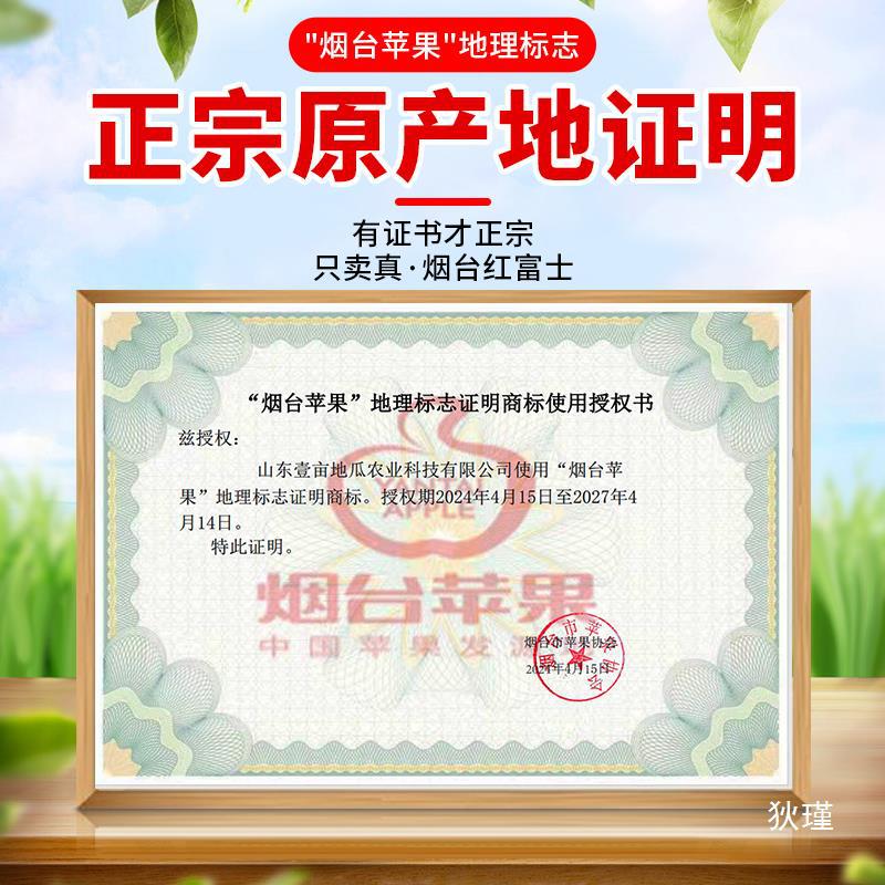 正宗山东烟台红富士苹果新鲜水果应季当季整箱脆甜冰糖心10斤包邮