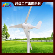 博尔勃特风光互补供电水平轴垂直轴风力发电系统 小型风力发电机