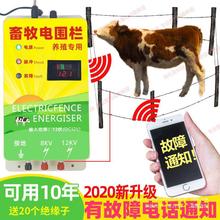 牧场电子围栏 牛羊猪养殖高压脉冲主机 畜牧电围栏防护网系统全套