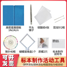 蝴蝶标本团体手工活动研学diy制作工具材料昆虫针展翅板标本盒
