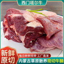 内蒙古散养原切牛腩肉新鲜国产牛肉生鲜冷冻整块粒商用食材代发