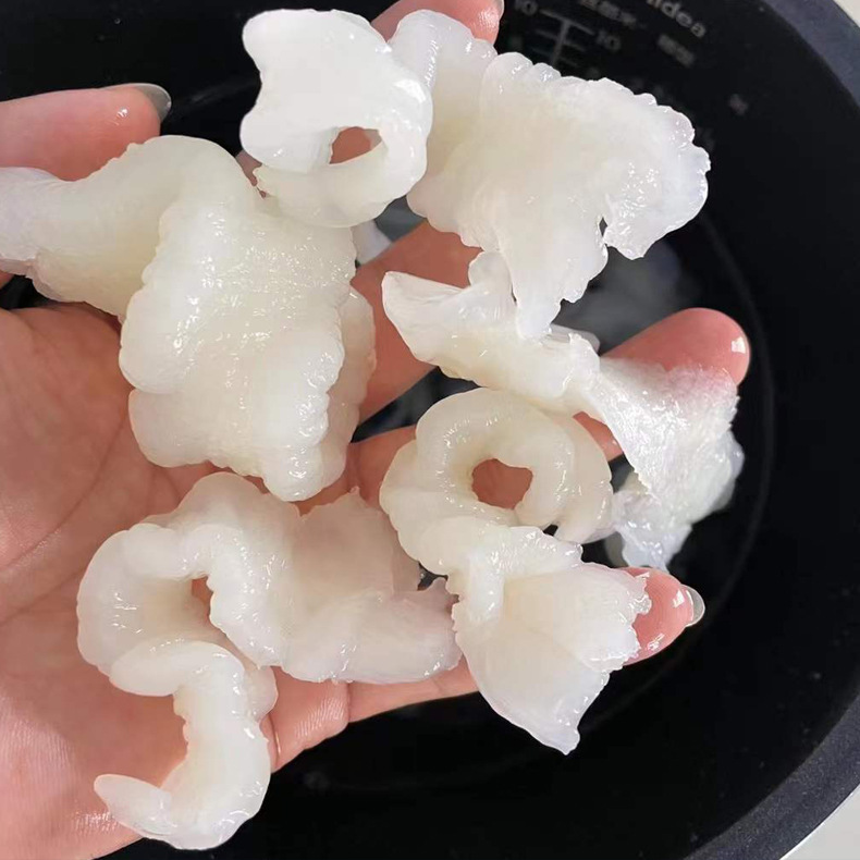 白玉胶花胶鱼胶巴沙胶小龙胶无齿芒鱼肚鱼膘淡水鱼胶即食花胶材料