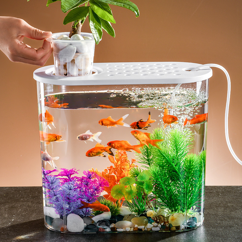 塑料透明带盖椭圆形微景观鱼缸客厅办公室桌面小型装饰摆件金鱼缸