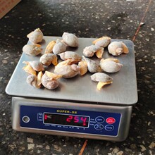 整箱10斤包邮冷冻海瓜子熟冻即食海螺丝 海锥无沙 麻辣捞汁食材小