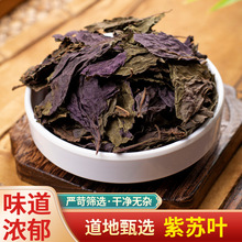 中药材 野生紫苏叶 正品食用苏叶干 紫苏叶茶 新鲜 泡澡 500g克