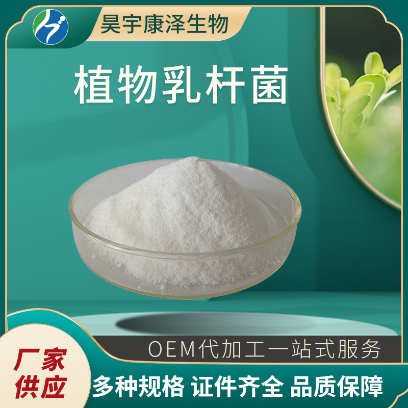 植物乳酸杆菌 乳杆菌 益生菌冻干粉 嗜酸乳酸杆菌 100亿 欢迎选购