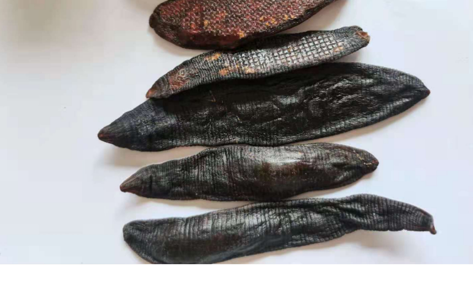 淡矾水蛭 统货散装江苏产地直供蚂蟥干【同稳中药材批发】