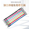 Cross border Explosive money pet vehicle Safety belt Elastic force Telescoping Car Traction rope automobile Safety rope Pet Supplies Cross border Explosive money pet vehicle Safety belt Elastic force Telescoping Car Traction rope automobile Safety rope Pet Supplies