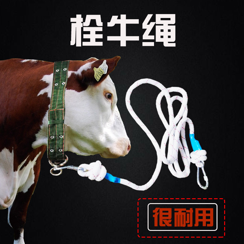 栓牛脖套牛扣牛绳脖套牛笼头绳牛绳子养殖设备加厚拴牛专用的脖套